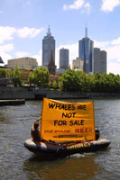 Whales are not for sale.