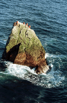 Odvr�cen� strana